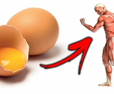 What Will Happen To You If You Start Eating 2 Eggs a Day