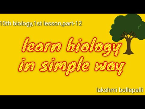 10th biology.1.Nutrition-food supplying system,part-12