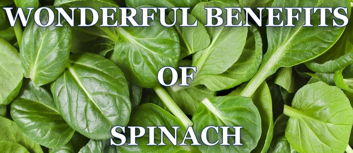 Wonderful Benefits Of Spinach You Never Knew