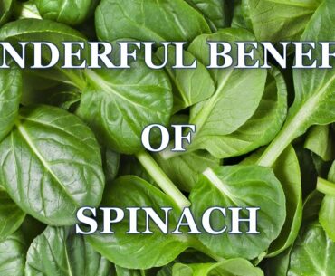 Wonderful Benefits Of Spinach You Never Knew