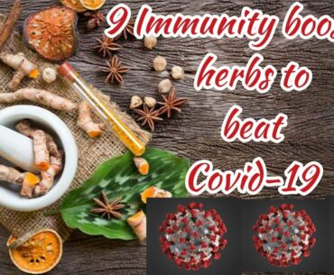 9 IMMUNITY BOOSTING HERBS TO BEAT COVID-19