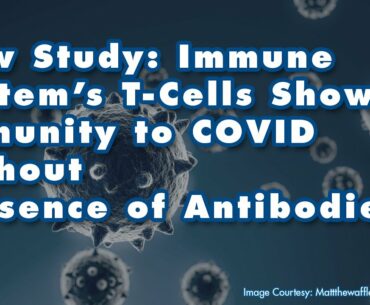 T-Cells Demonstrate Immunity to COVID-19, SARS, MERS without Presence of Antibodies
