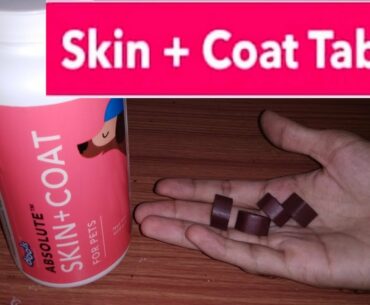 Drools skin coat tables || dog skin problem || dogs skin supplement in hindi