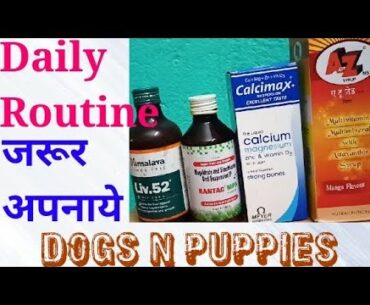 Liver-Vitamin-Calcium Syrup for Dogs.  Supplements for Dogs