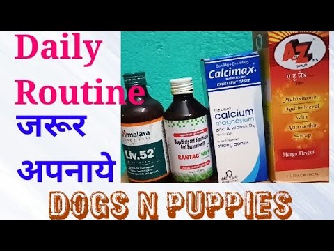 Liver-Vitamin-Calcium Syrup for Dogs.  Supplements for Dogs