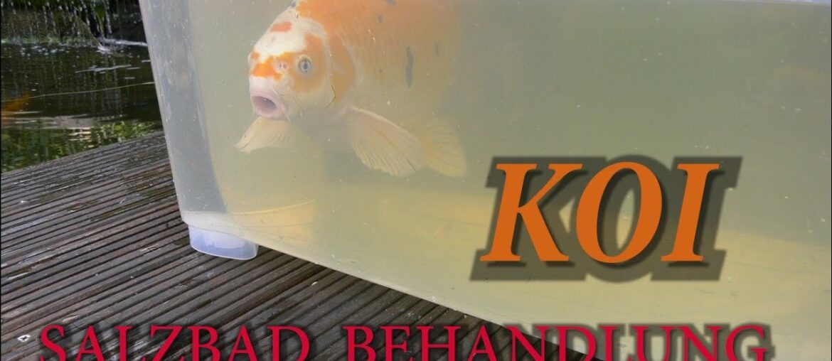 Koi Wellness #Salzbad#