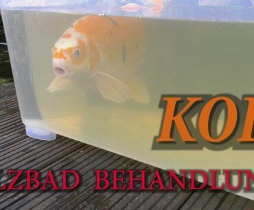 Koi Wellness #Salzbad#