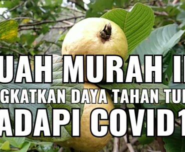 Buah Murah ini Cocok Hadapi Covid19