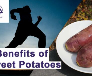 5 Benefits of Sweet Potatoes | SportsWorld Malaysia