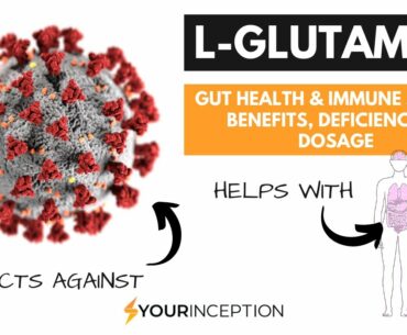 L-Glutamine Gut Health & Immune System Boost, BUT Why You SHOULDN'T Supplement it!