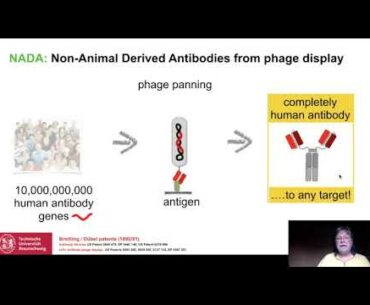 Animal-free antibodies against diseases: Rapid response to fight Covid-19