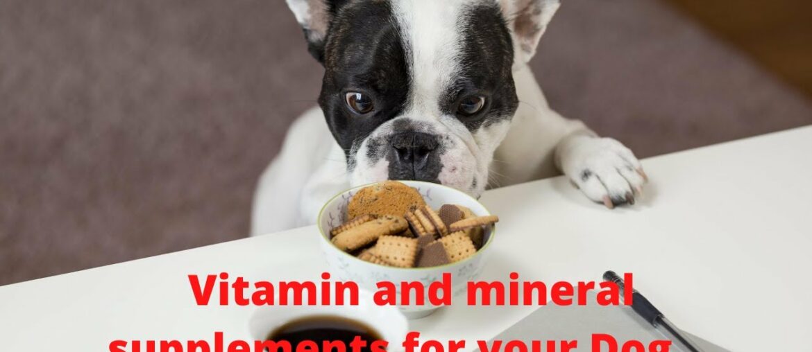 Vitamin and mineral supplements for your pets