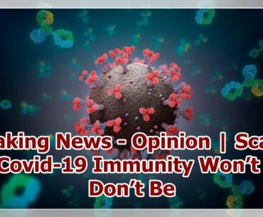 Breaking News - Opinion | Scared That Covid-19 Immunity Won’t Last? Don’t Be