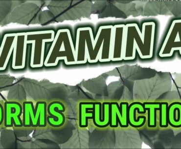 Forms of Vitamin A Benefits Functions of Vitamin A Work in Human Body by Dr Ashutosh