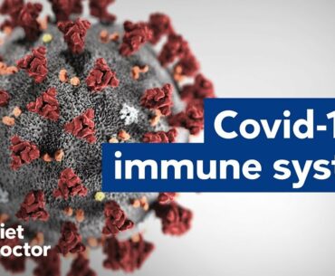 Increase your immunity during Corona virus outbreak