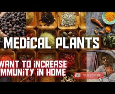 MEDICINAL PLANTS || INCREASE IMMUNITY IN HOME || ENGLISH