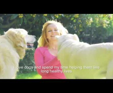 Azestfor Founder - Our Mission is to Extend Dogs' Lives Through Nutrition