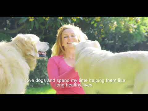 Azestfor Founder - Our Mission is to Extend Dogs' Lives Through Nutrition