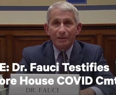 Dr. Anthony Fauci Testifies Before Congress on the COVID-19 Pandemic | LIVE | NowThis