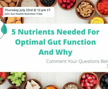 Gut Health Nutrition: 5 Important Nutrients You Need to Optimize Gut Health and Solve GI Distress