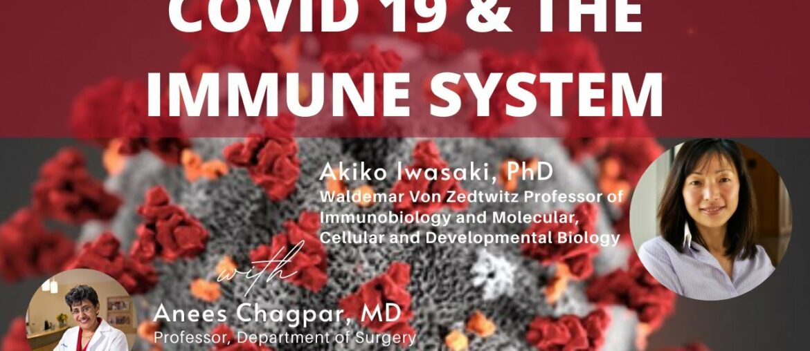 COVID-19 & THE IMMUNE SYSTEM | An interview with Akiko Iwasaki, PhD, Professor at Yale