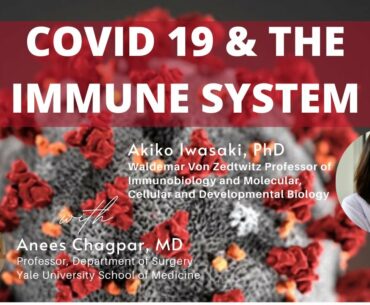 COVID-19 & THE IMMUNE SYSTEM | An interview with Akiko Iwasaki, PhD, Professor at Yale