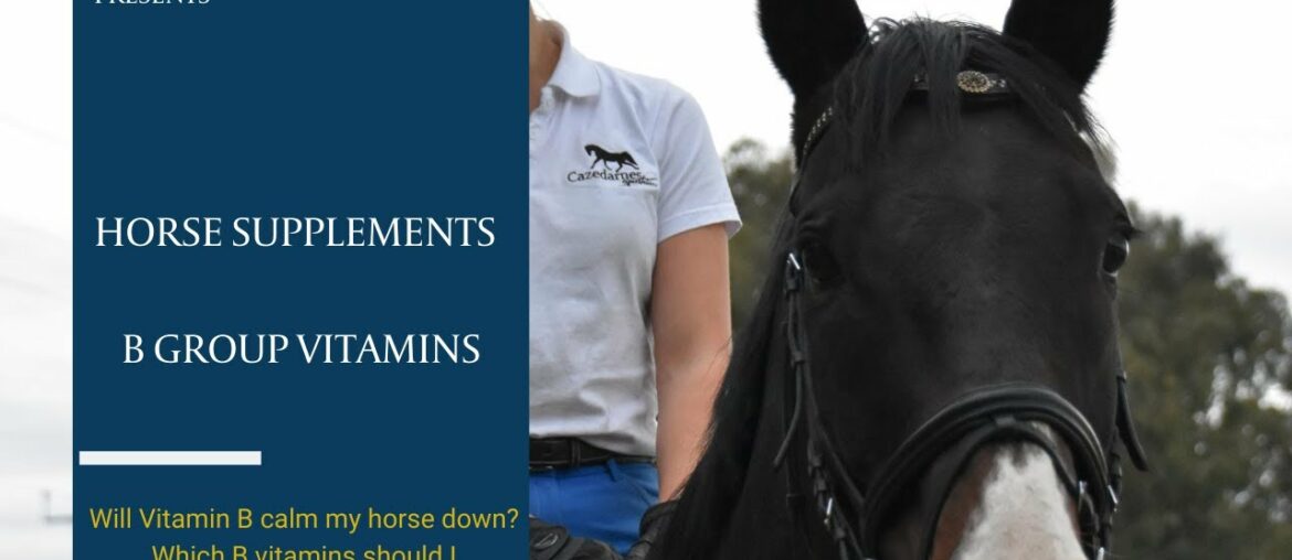 Horse Supplements - B Group Vitamins