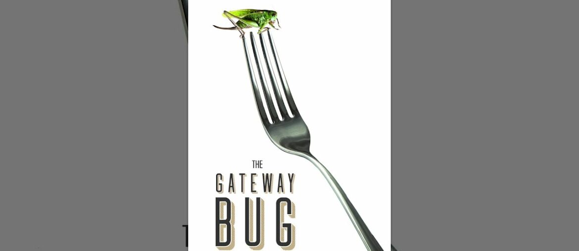 The Gateway Bug