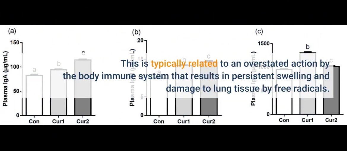 A Novel Combination of Vitamin C, Curcumin and  - MDPI for Dummies