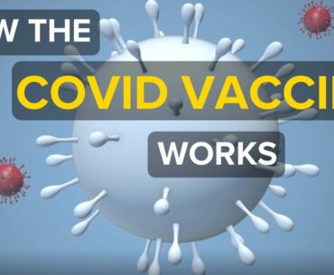 How the COVID-19 vaccine works