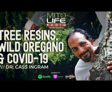 Tree Resins, Wild Oregano & Covid-19 w/ Dr. Cass Ingram | Mitolife Radio Ep. #073