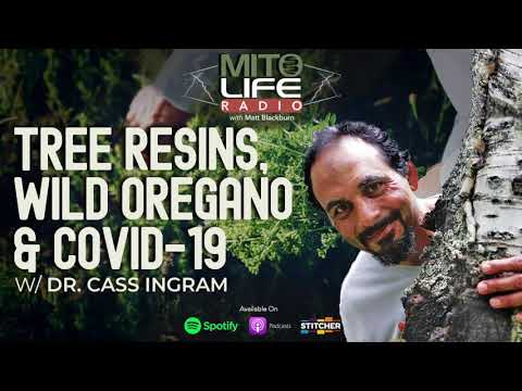 Tree Resins, Wild Oregano & Covid-19 w/ Dr. Cass Ingram | Mitolife Radio Ep. #073