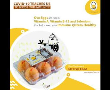 Boost Your Immunity with Ovo Farm Fresh Eggs | Bhubaneswar | Kolkata