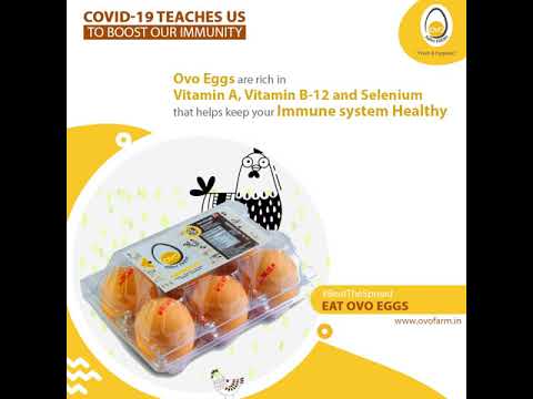 Boost Your Immunity with Ovo Farm Fresh Eggs | Bhubaneswar | Kolkata