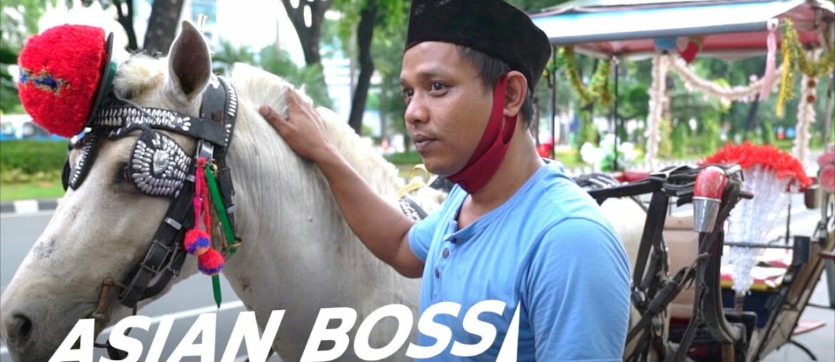 How COVID-19 Is Killing The Traditional Indonesian Horse Cart Industry | THE VOICELESS #38