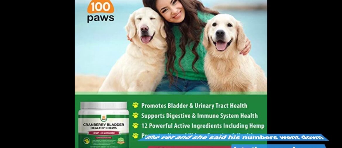 Nutrition Strength Kidney Support for Dogs - Renal, Bladder and Urinary Tract Health Supplement...