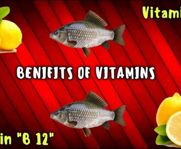 6 HEALTH BENEFITS OF VITAMIN -C, VIT -B12/BENEFITS OF VITAMINS/BEZAWADA AMMAYI