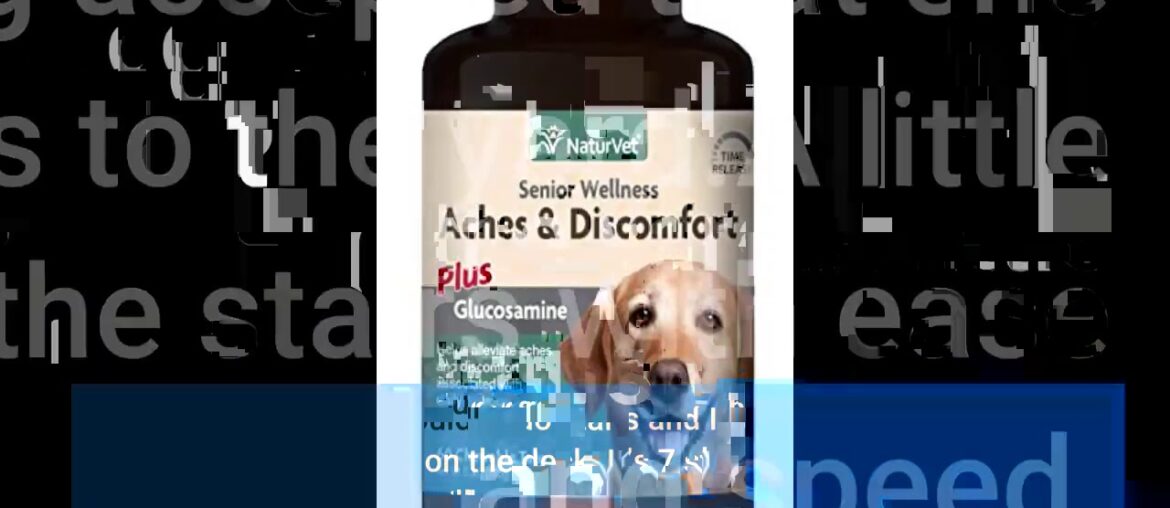 NaturVet Senior Wellness Aches & Discomfort Plus Glucosamine for Dogs, 60 ct Time Release, Chew...