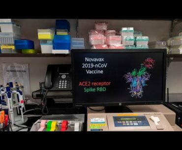 Novavax Aims to Deploy Covid-19 Vaccine by December: R&D Head