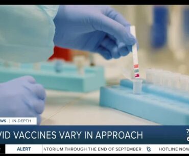 COVID vaccines vary in approach