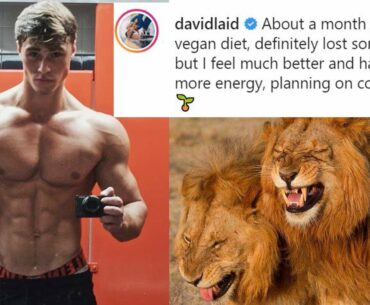 David Laid Goes Vegan? What About Protein?