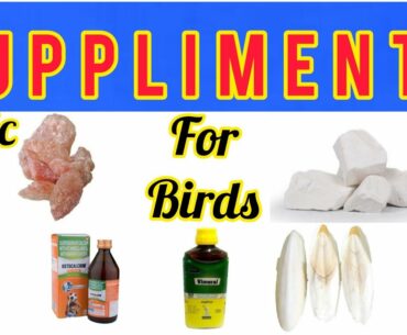 Basic Suppliments  for your Birds || Multivitamin || Mineral Blocks|| Calcium Suppliments