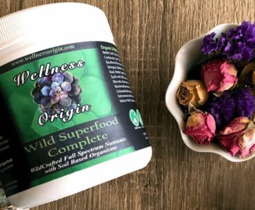 Wild Superfood Complete | Wellness Origin