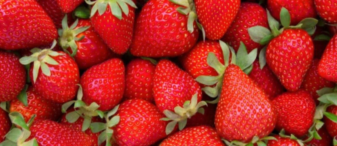 God Put MEDICINES In STRAWBERRIES That HEAL THE BRAIN (dessert recipe included!)