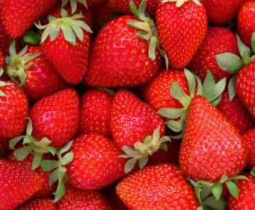 God Put MEDICINES In STRAWBERRIES That HEAL THE BRAIN (dessert recipe included!)