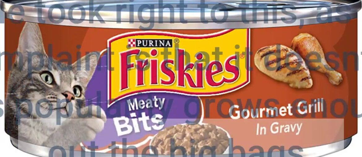 Purina Friskies Gravy Swirlers Adult Dry Cat Food