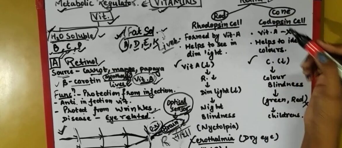 NUTRITION - Vitamins [ part 1] / for all competitive exams