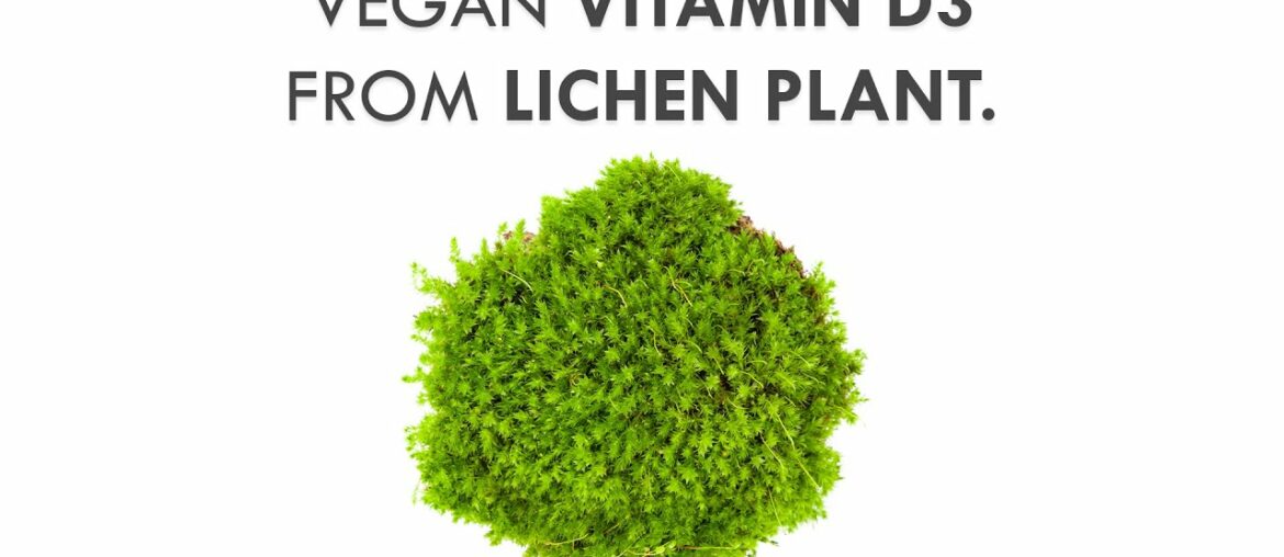 Vegan Vitamin D3  (Cholecalciferol)  - Lichen Plant | Health Care Video | Harsh Designs