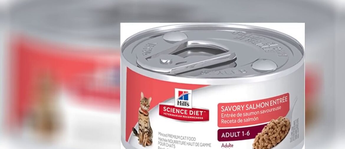 Hill's Science Diet Adult Savory Turkey Canned Cat Food, 5.5 oz, 24 Pack