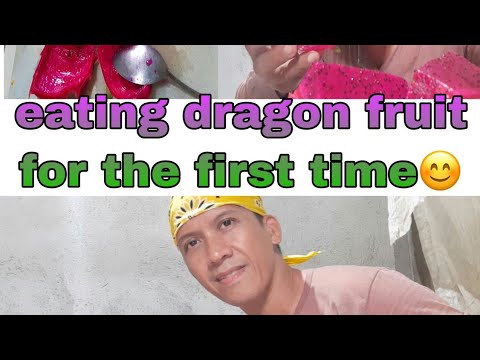 Tasting dragon fruit for the first time/Let's have a try dragon fruit in the backyard